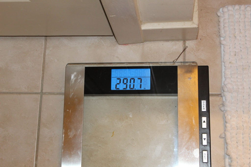 scale